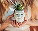 Toynk Halloween Michael Myers 3-Inch Ceramic Mini Planter with Artificial Succulent | Small Flower Pot, Faux Indoor Plant