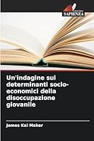 Un'indagine sui determinanti socio-economici della disoccupazione giovanile 620929491X Book Cover