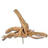 aquarium moorwurzel wässern ✔ Multifunktional einsetzbar- Für Aquarien, Terrarien, Nager oder als Gartendeko