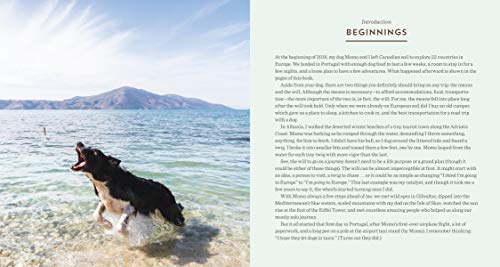 Find Momo Across Europe: Another Hide-And-Seek Photography Book: 4