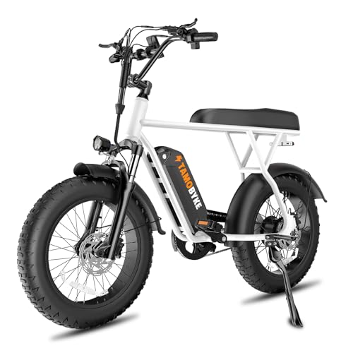 T63 Electric Bike for Adults&Teens, 20-4''Fat Tire Electric Bikes, 750W