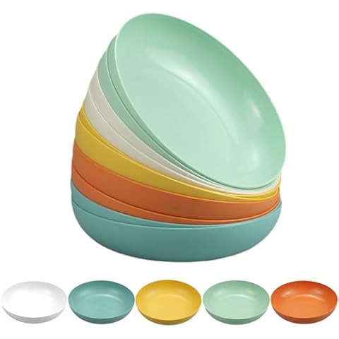 MytaYt Set of 10 Reusable Plastic Plates Cover