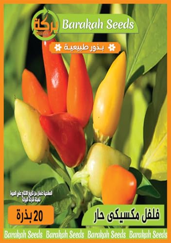 بذور طبيعية مستوردة لنبات (فلفل مكسيكي حار)