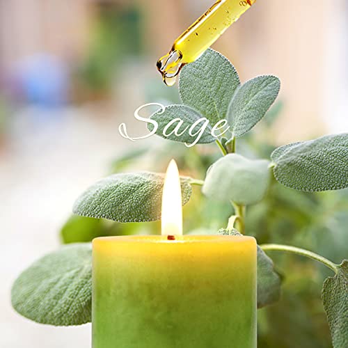 Crystal Club Green Pillar Candles, Sage Scented Pillar Candles, Clean Burning And Dripless Candle Lights, Set Of 6 Tall 2X2.5 Inch Candles For Party And Home Decor #TOP4