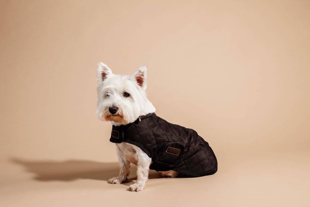 KENTUCKY Cappotto per cani Dog Coat Marrone Taglia SM