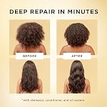 Pantene Miracle Rescue Regenerative Hair Oil - 2.0 FL Oz - Deep Repair Treatment for Dry & Damaged Hair - Image 4