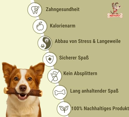 Olivenholz für Hunde Mittel 2 Stück Kauholz Mittlere Holzknochen als Hundespielzeug Kauspielzeug Hund