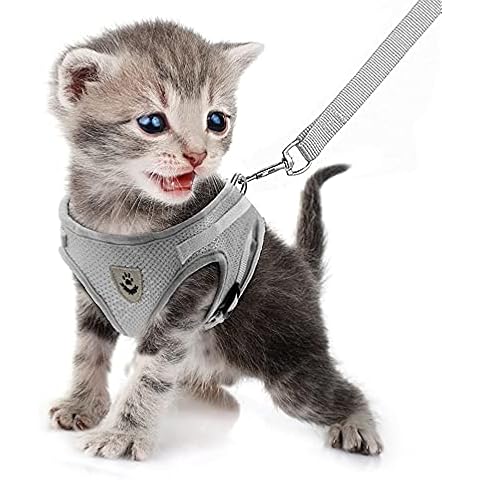 FEimaX Cat Harness and Leash Set for Walking Escape Proof Adjustable Kitten Vest Soft Mesh Puppy Chest Harnesses with Reflective Strap for Small Dogs Cats Cover