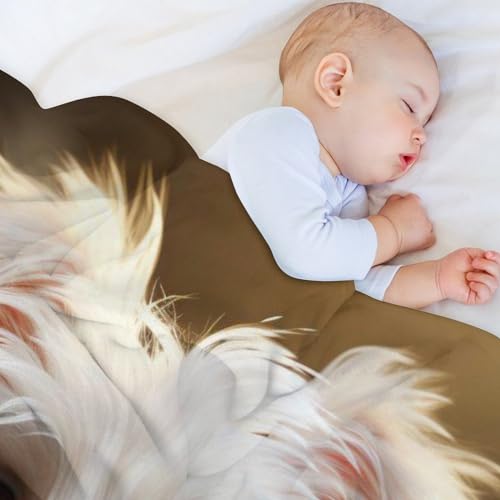 Couverture flannel chien peluche extra doux thermique premium