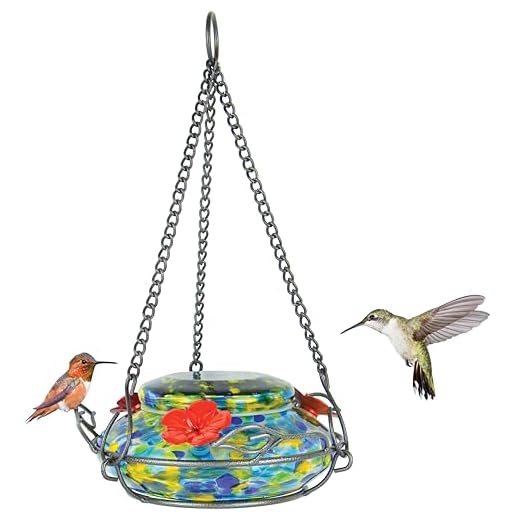 Hand Blown Hummingbird Feeder