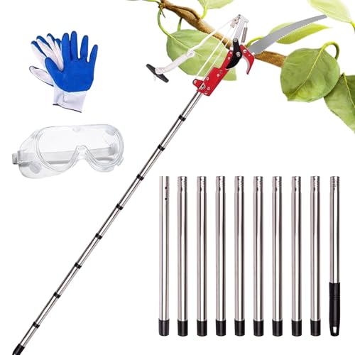 �ؙ���p�|�[���\�[ - �y�ʐL�k�� | �L�k�����}�؂��� | �ʎ����A�ԁA�u�h�E���A��^�_�n�A�K�[�f�j���O�A�����A�ыƗp���苘