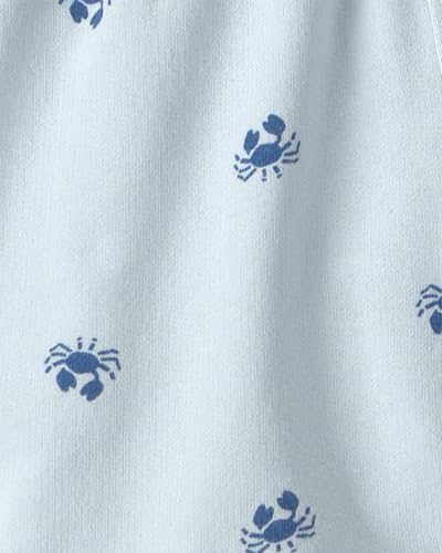 Carter's Boys' 2-piece Short Set — 사진 3