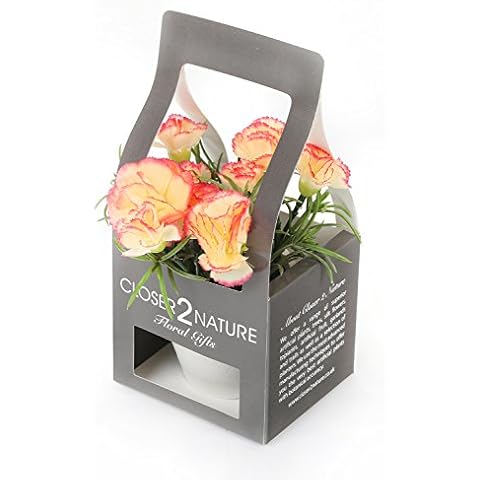 Closer2Nature Artificial 15cm Peach Carnation Plant with Gift Box, Faux Flowers Decoration Plants for Indoors in Home, Kitchen, Lounge and Office Cover