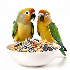 Nobleza – (900 g volledig voer voor onafscheidelijk, premium vogelvoer, smakelijk en gezond vogelvoer