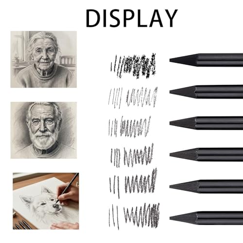 SurPse 6 Pack Charcoal Pencils, Woodless Black Graphite Pencils Set, Sketching, Shading and Artwork, Includes HB 2B 4B 6B 8B EE Black Soft Sketch, Ideal for Beginners and Professional Artists - Image 2