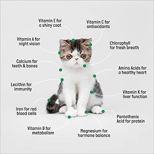 The Cat Ladies Organic Cat Grass Growing Kit With Seed Mix, Soil And Black Cat Planter. Natural Hairball Control And Digestion Remedy For Cats #TOP3