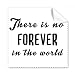 Quote No Forever in The World Cleaning Cloth Phone Screen Glasses Cleaner 5pcs