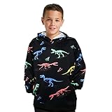 Dinosaur Hoodie Boys Girls 3D Print Teenager Graphic Pullover Hoodie Size 12T