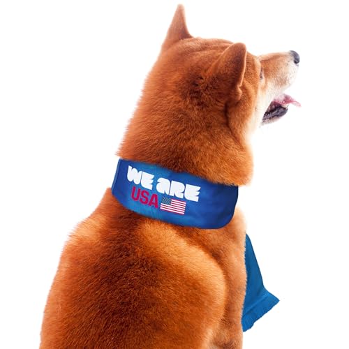Littlearth Pet Soccer Team Scarf - Officially Licensed FIFA 2026 Pet Apparel for Team USA,Size : Large by Littlearth - Image 4