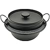 Iwachu Teiera in ghisa giapponese 34301-GE | Tea&Company