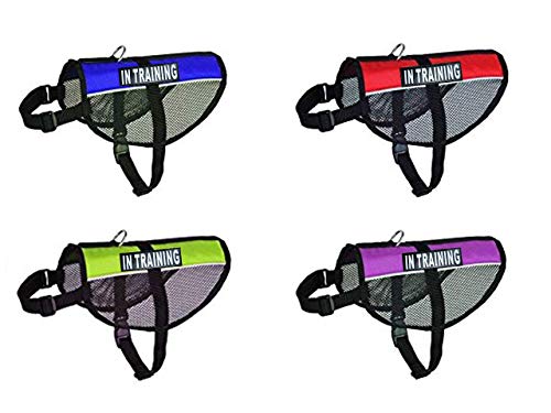 In Training Service Dog Mesh Vest Harness Cool Comfort Nylon For Dogs Small Medium Large Purchase Comes With 2 Reflective In Training Removable Patches (Girth 21-24", Blue) #TOP20
