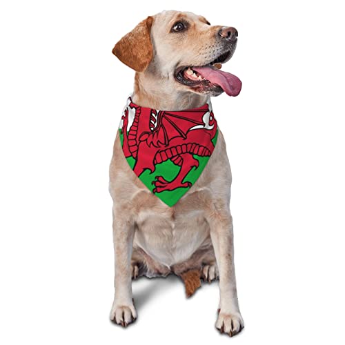 Welsh Flag Dog Bandanas Triangle For Dogs & Cats Washable Dog Scarfs Dog Bibs Head Scarfs Dog #TOP1
