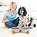 Ceramic Dog Bowl and Cat Bowls Set with 15° Adjustable Wood Stand, Non-Slip Weighted Pet Food and Water Bowls, Dual Raised Feeder for Small Dogs, Matte Glaze Pet Dish 13.5oz Set of 2 (Gray & Chestnut)
