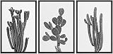 Ashbrook Southwest Desert Cactus Set