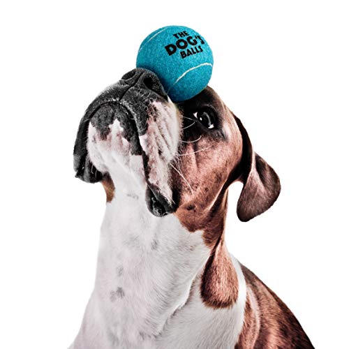 The Dog's Balls de Chien TDB-BLUE-12, Jouet Chien, Approuvé par Les Vétérinaires – vue 3
