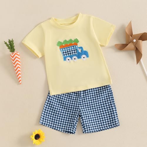 Image of Toddler Baby Boy Easter Rabbit Outfit Short Sleeve Bunny Carrot Smocked T-shirt Elastic Waist Shorts Summer Clothes