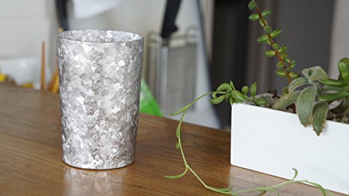 HORIE チタン2重タンブラー LIGHT 270cc T09KMS270