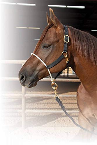 Professional's Choice Sports Medicine Products, Inc. Nylon Halter Rope Nose Avg #TOP9