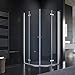 Produktbild SONNI Duschkabine Runddusche Drehfalttür Viertelkreis-Dusche 90x90x195 cm