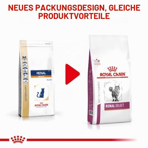 Ansicht 4