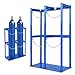 Generic 40L Gas Cylinder Holder Stand Oxygen Storage Rack Organizer (Double Compartment)