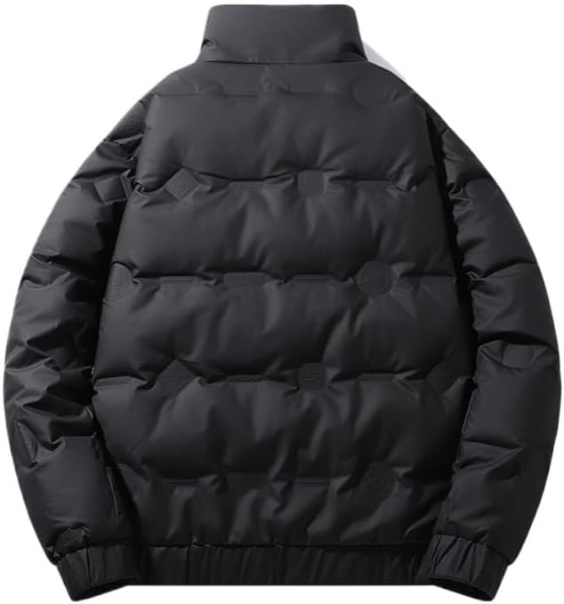 Mens Winter Stand Collar Puffer Jacket Solid Color Thick Insulated Warm Cold Down Coat