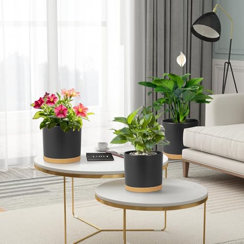 Meowell 8/7/6 inch Flower Pots, 3 Pack Cylinder Plant Pots for Outdoor Indoor Plants, Decorative Plastic Planters with Drainage Holes and Saucers for Garden House Plants, Black with Brown by Meowell - Image 7