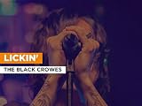  Lickin\' al estilo de The Black Crowes