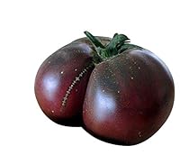 10 graines de tomate noire brandywine Fournisseurs : Samenchilishop est une tomate à viande juteuse et très sucrée Bonne couleur cellulose et très productive.