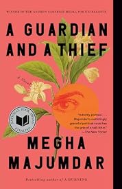 A Guardian and a Thief: A Novel