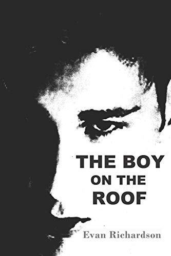 THE BOY ON THE ROOF: murder mystery thriller