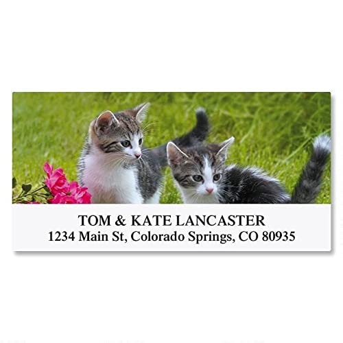 Love Of Cats Personalized Return Address Labels – 12 Designs, Set Of 144, Large, Self-Adhesive, Flat-Sheet Labels, By Colorful Images #TOP1