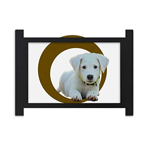 NE`OzCgOybg fXNgbvtHgt[摜ubŃA|pG7 x 9C`