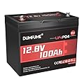 Dumfume 12V 100Ah Mini LiFePO4 Lithium Battery, Built-in 100A BMS,1280Wh, Up to 15000 Cycles 10-Year Lifespan Perfect for RV, Solar, Marine, Golf Cart,and Home Energy Storage
