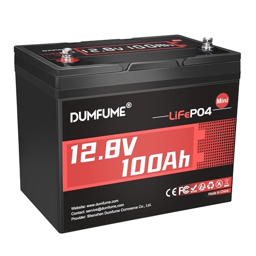 Dumfume 12V 100Ah Mini LiFePO4 Lithium Batterie, mit 100A BMS, 1280Wh, bis zu 15000 Zyklen 10-Jahres Lebensdauer Perfekt für RV, Solar, Marine und Home Energy Storage