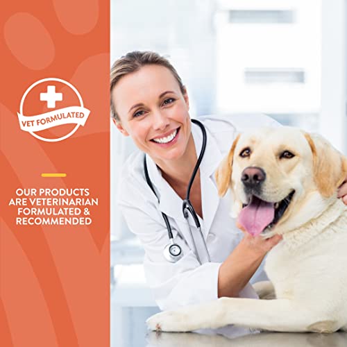 Naturvet – Potty Here Training Aid Spray | Attractive Scent Helps Train Puppies & Dogs Where To Potty | Formulated For Indoor & Outdoor Use | 32 Oz #TOP3