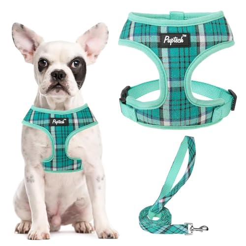 PUPTECK Soft Mesh Dog Harness and Leash Set Pet Puppy Cat Comfort Padded Vest No Pull Harnesses, Green, M by PUPTECK - Used condition - US$10.48