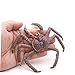 Imagen de minkissy de Cangrejo de Plástico Sólido Simulado Juguete Educativo de Animales para Adorno Decorativo Realista y Duradero
