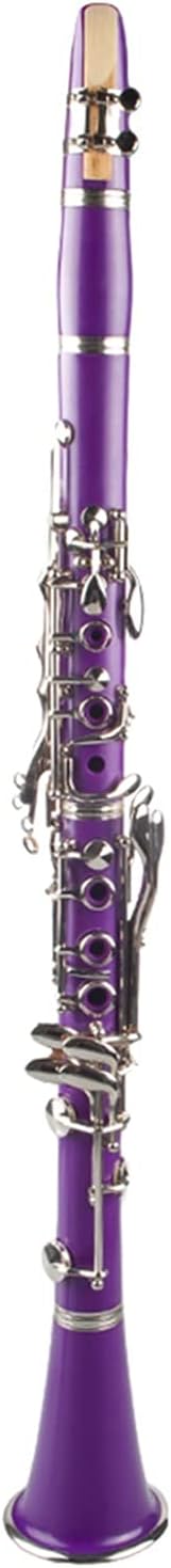 Bb Clarinet For StudentLine – ABS 17‑Key Cupronickel Nickel-Plated Keys, Student Clarinet with Carry Case, Gloves, Cleaning Cloth & Reed Kit, Ideal Starter & School Band Woodwind Instrument