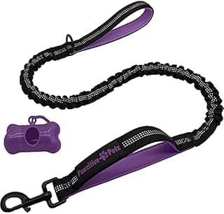 Pawzitive Petz Bungee Dog Lead, No Pull Dog Lead, Anti Pull Dog Lead, Leads to Stop Dogs Pulling, Dog Bungee Lead, No Pull Lead, Dog Leashes, Shock Absorber Dog Lead, Dog Lead to Stop Pulling